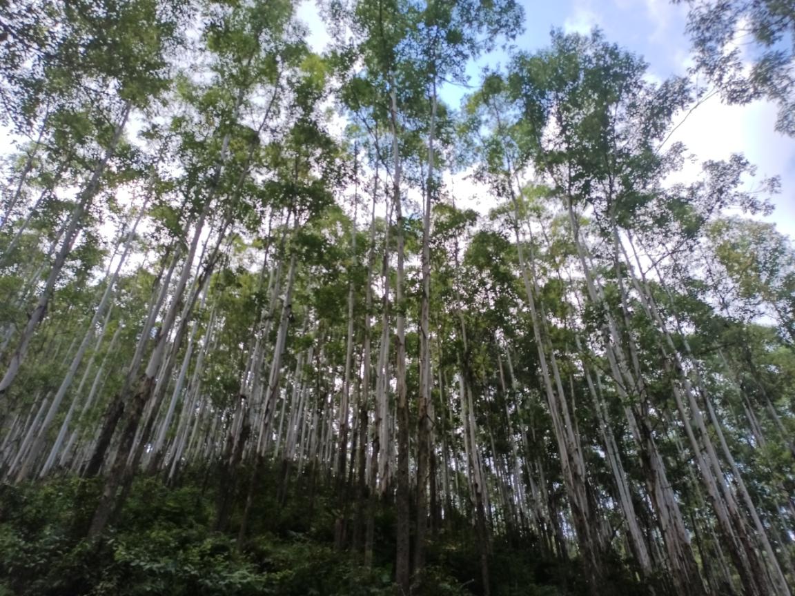 香港六和合资料