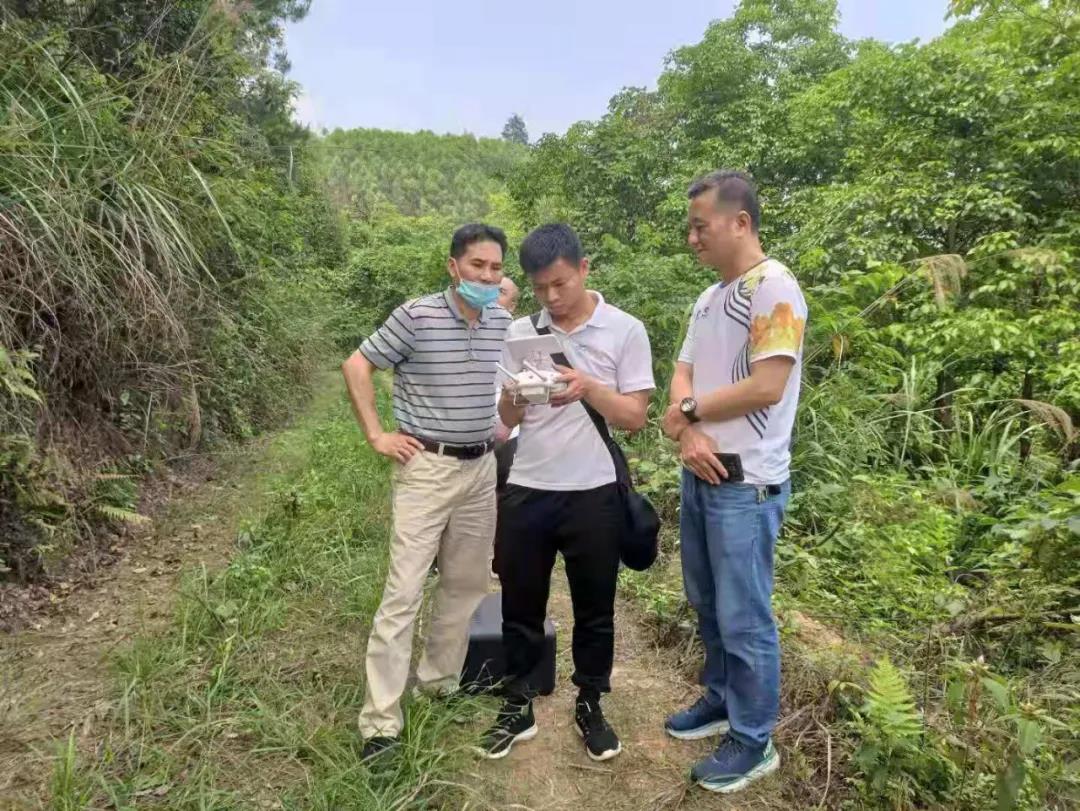 北京林业大学专家团队到鹿寨县指导国储林建设现场推进会工作2.jpg