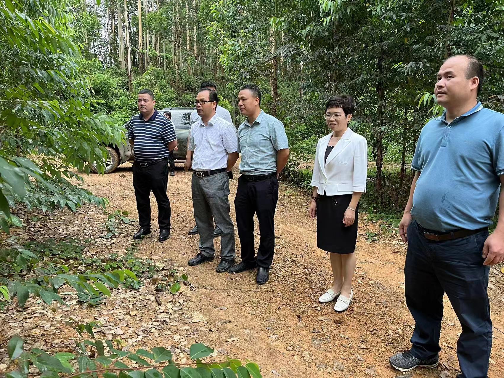 香港六和合资料