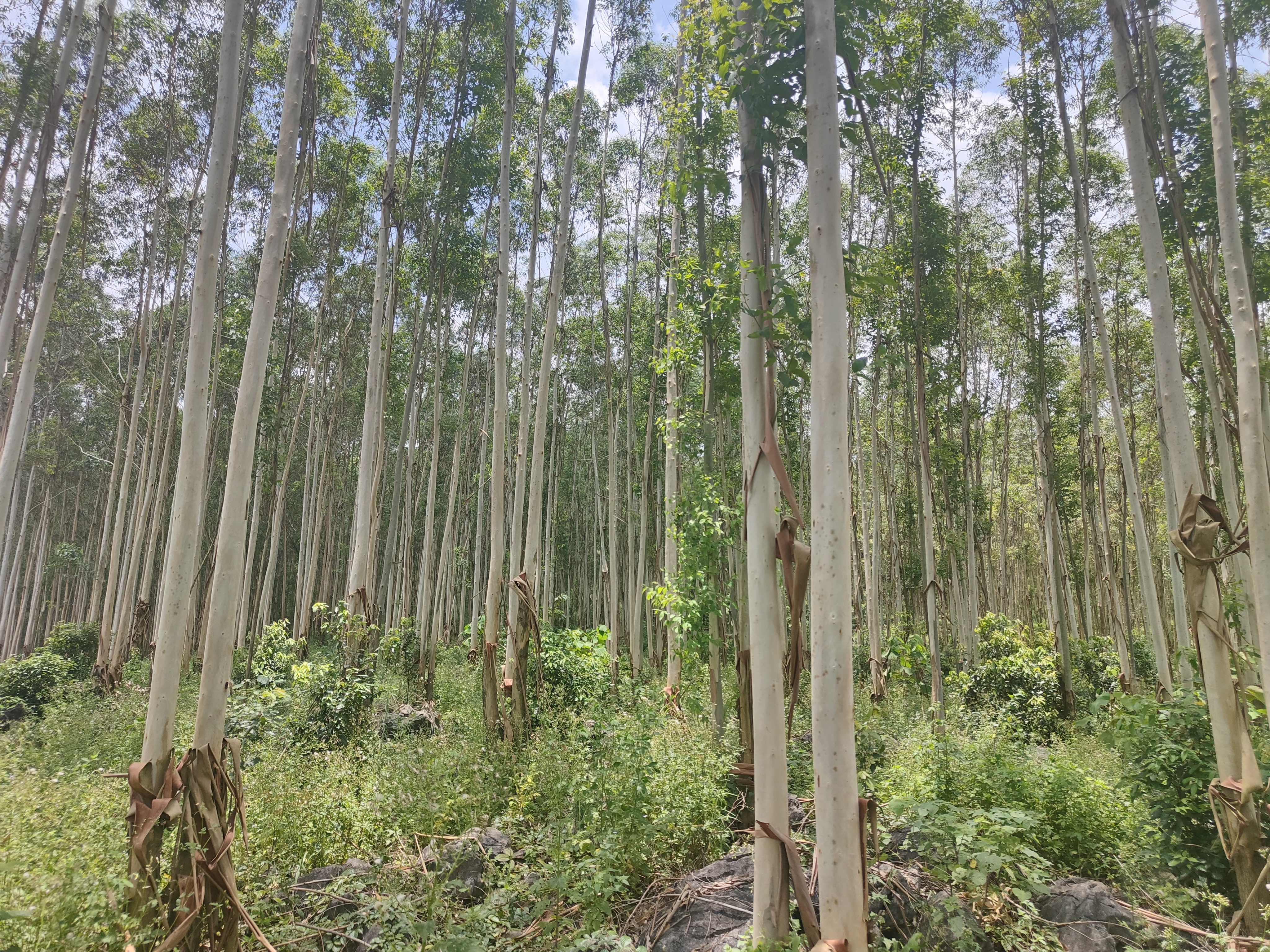 香港六和合资料