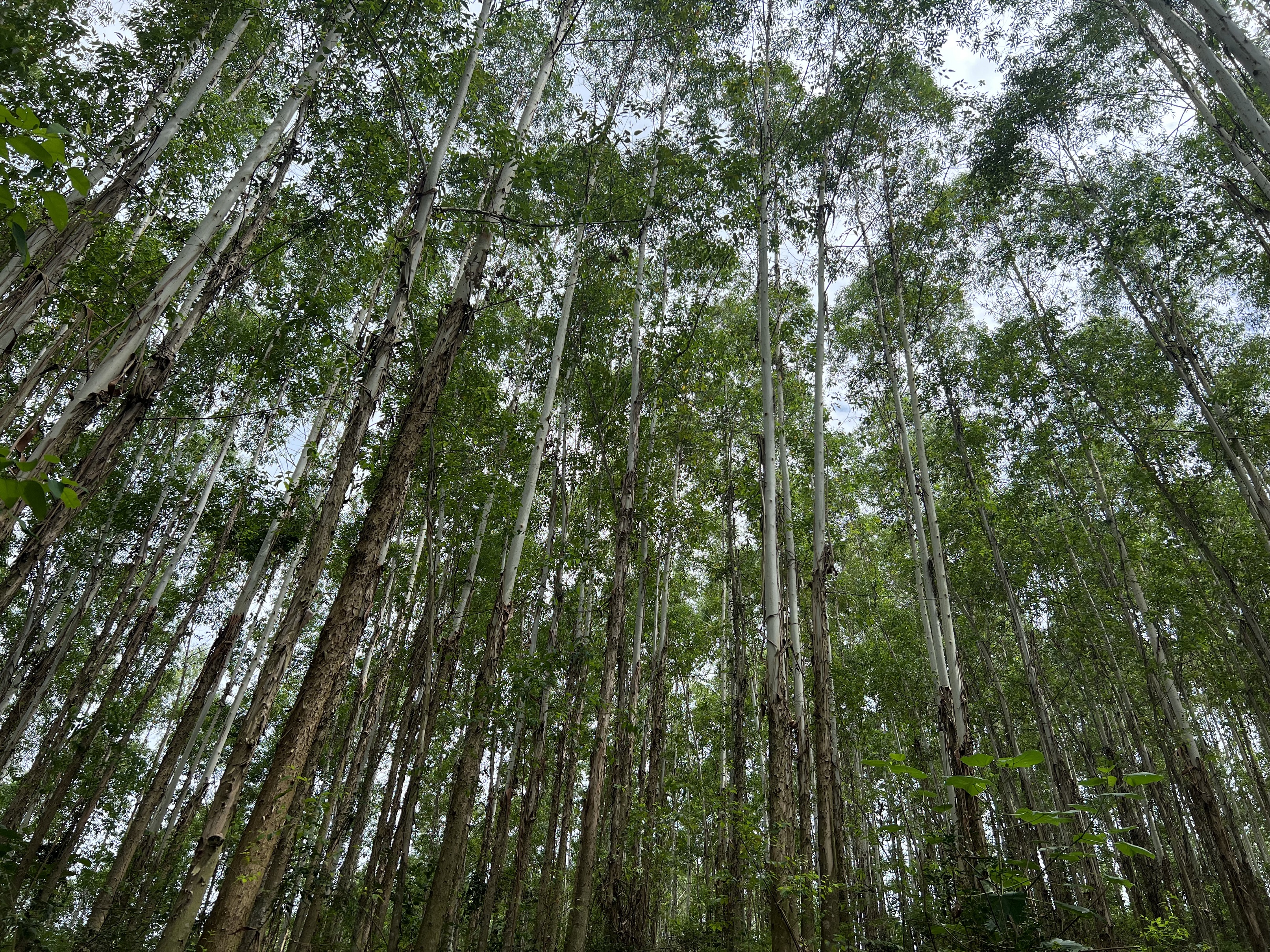 香港六和合资料