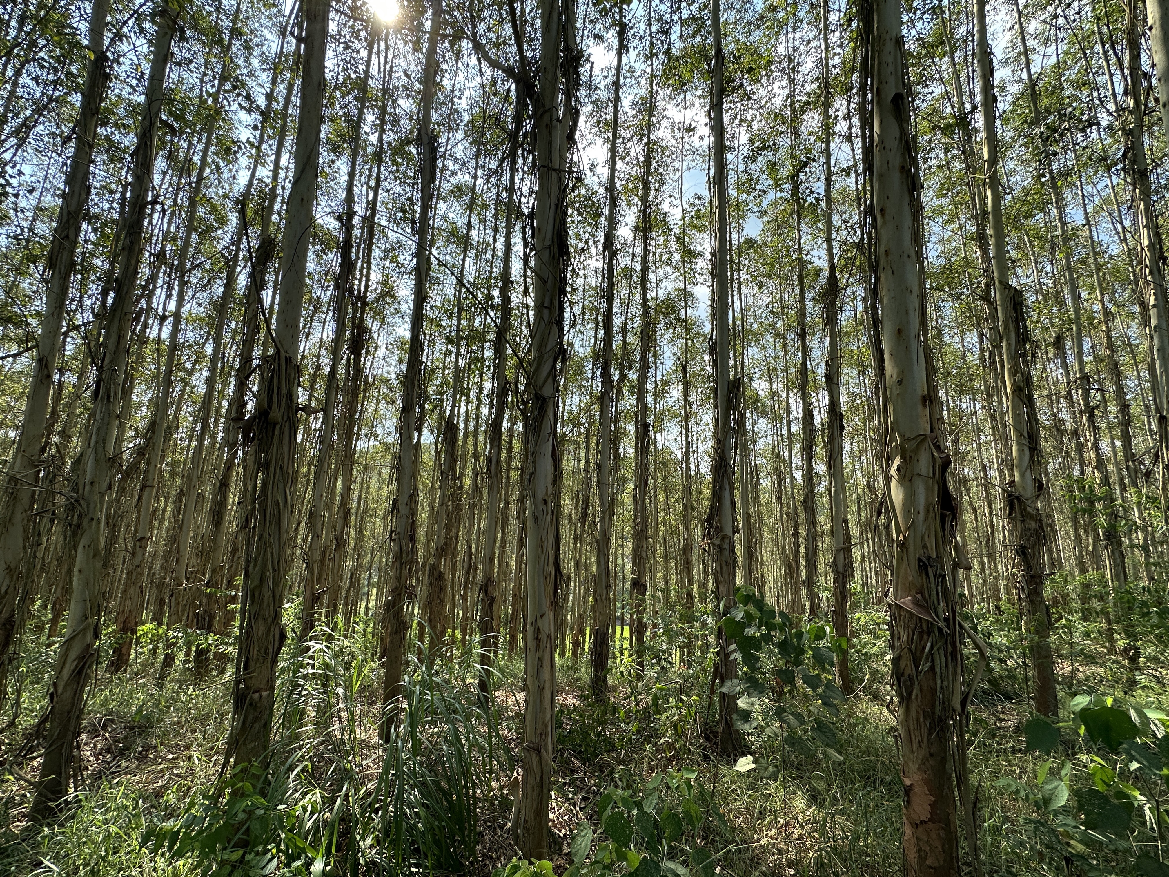 香港六和合资料