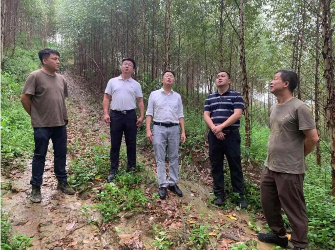 香港六和合资料