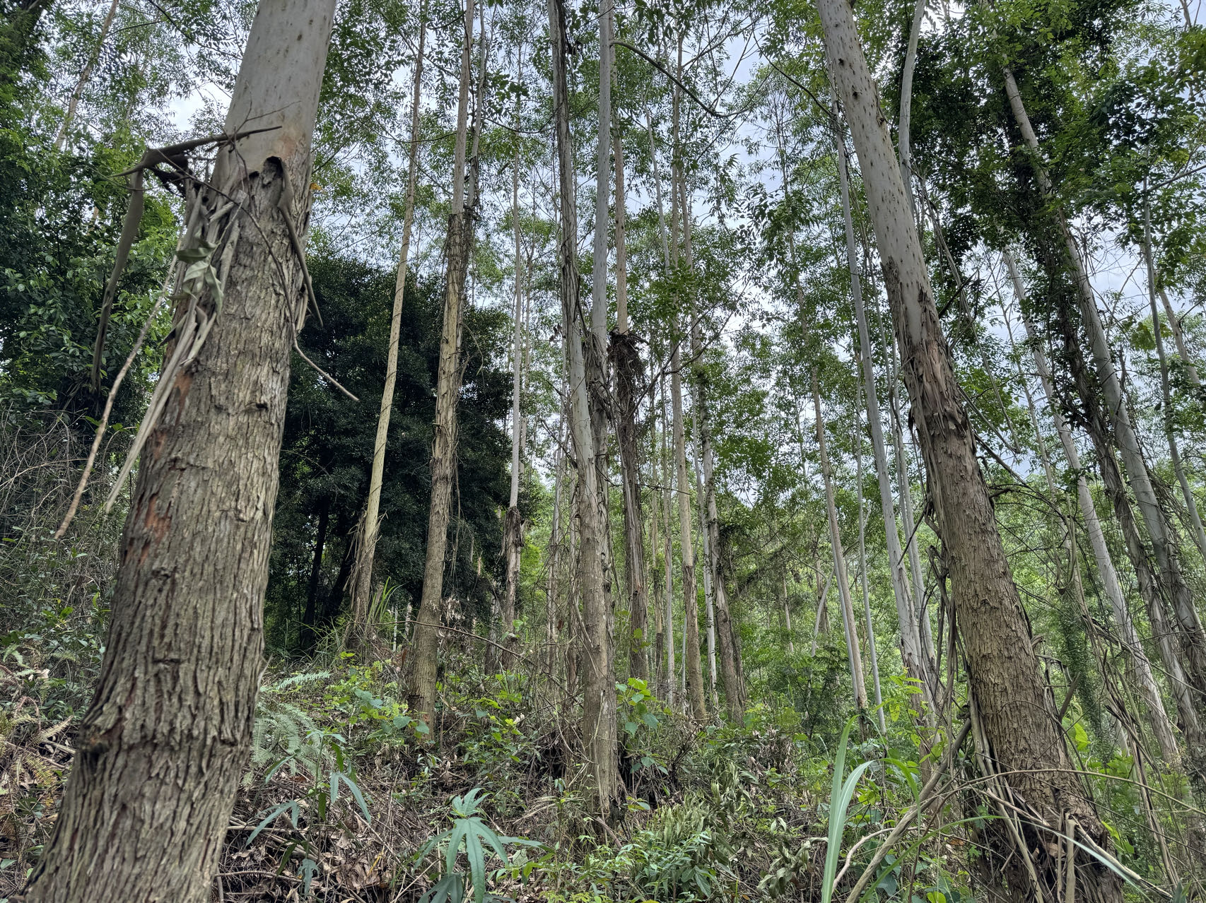 香港六和合资料